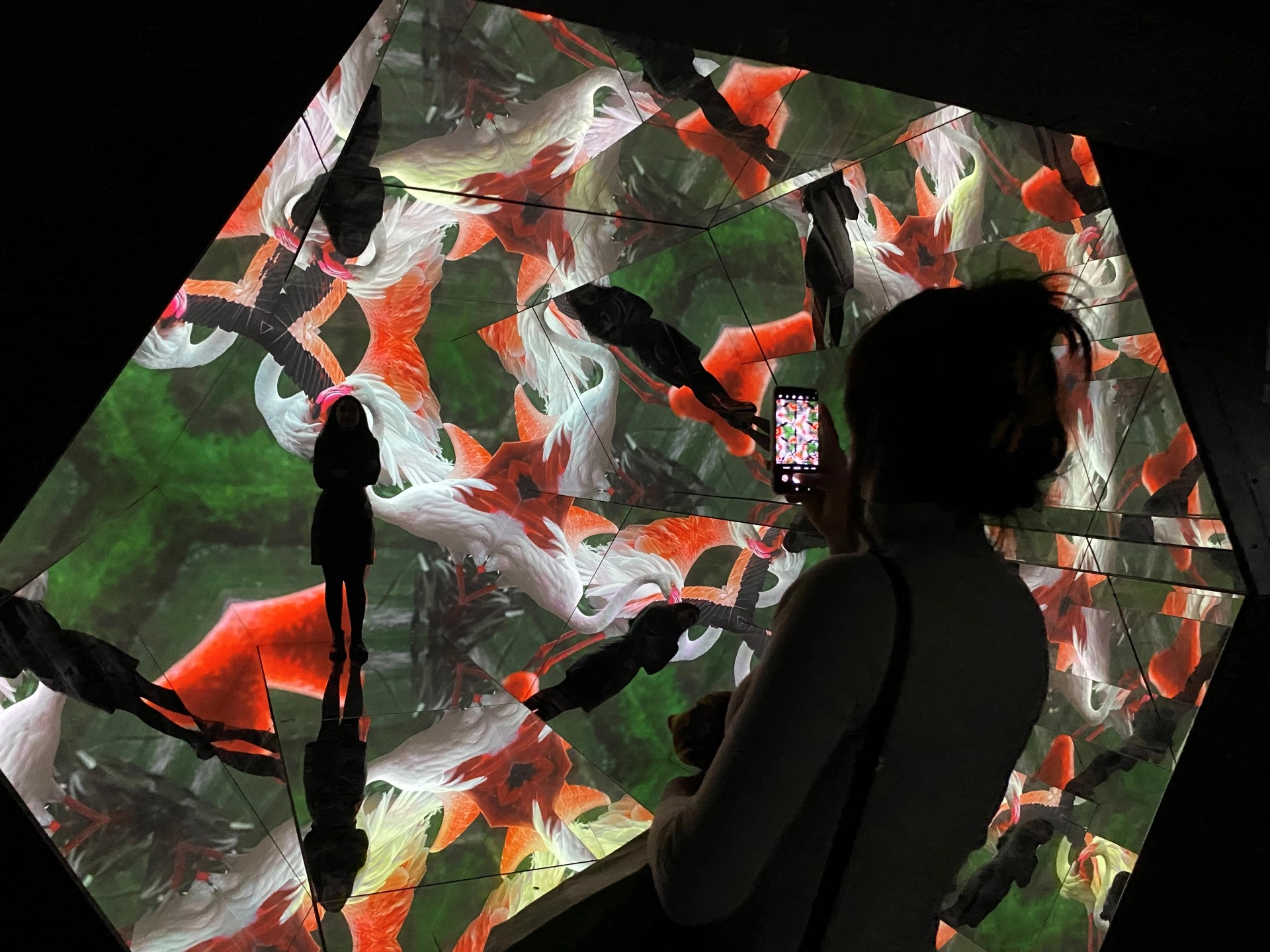 Immersive audio storytelling and synchronized narrative, digital exhibition about Africa at Holoseum