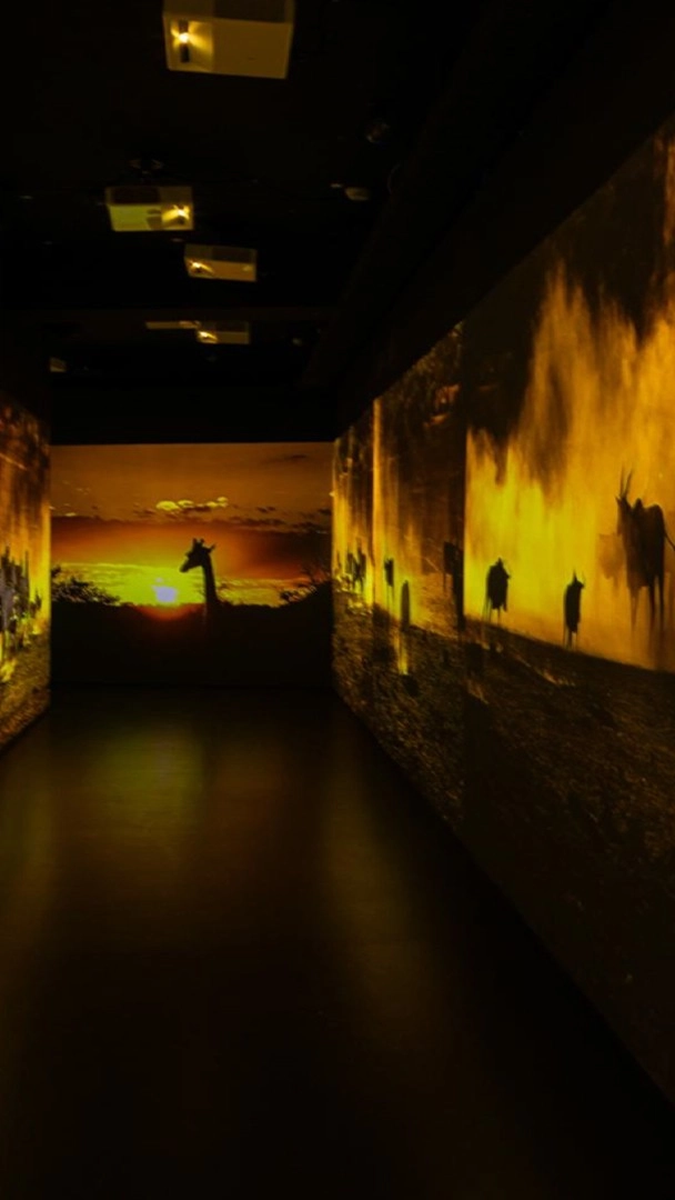 Immersive digital exhibition at Holoseum Digital Art Museum, Tbilisi